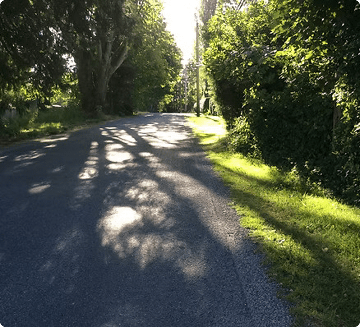 Sunlit road with tree shadows