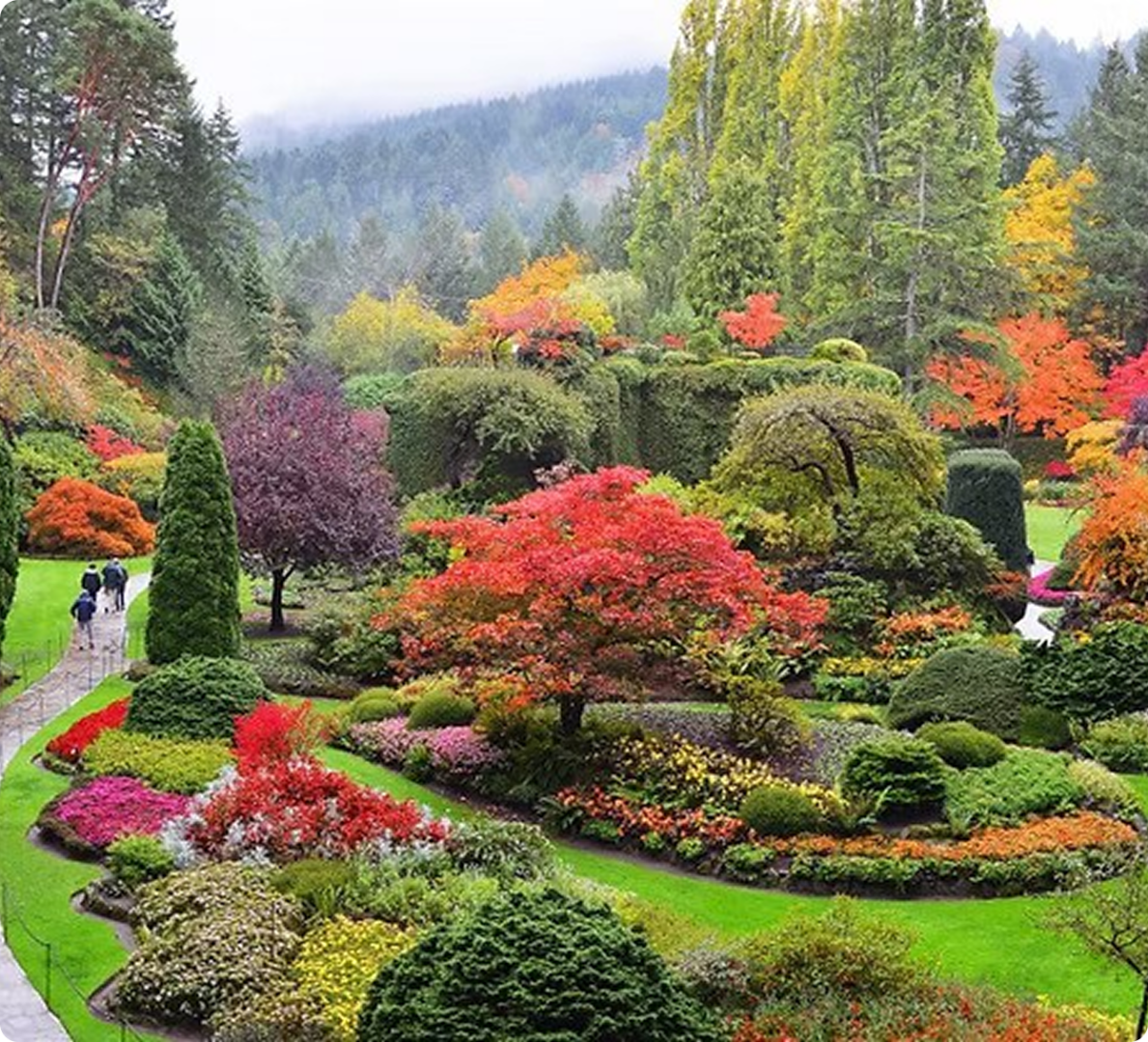 Scenic garden with colorful trees and flowers