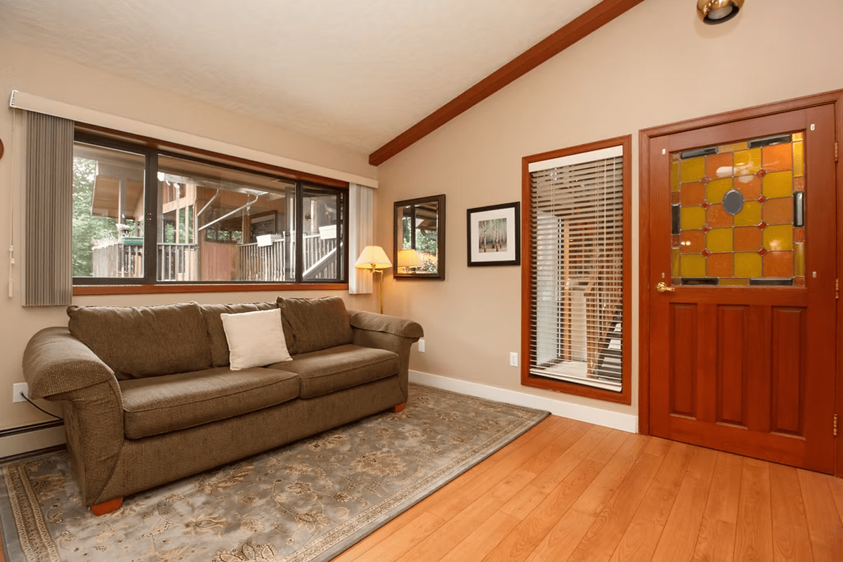Brown sofa and patterned rug interior